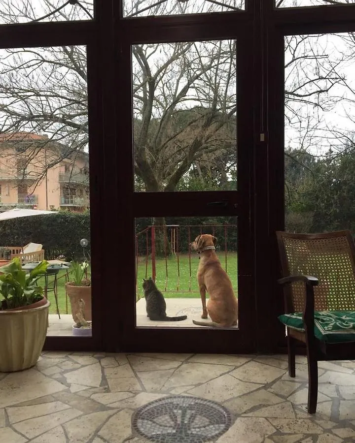 Guest house B&B Villa Acero Marina Di Carrara