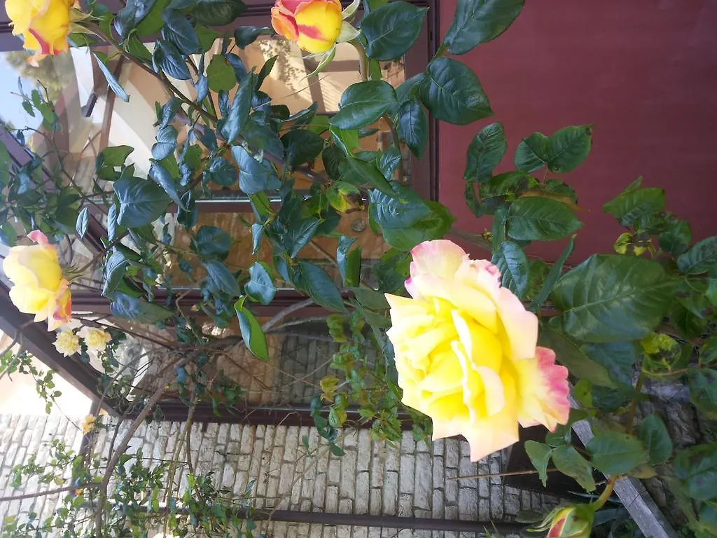 Guest house B&B Villa Acero Marina Di Carrara Italy